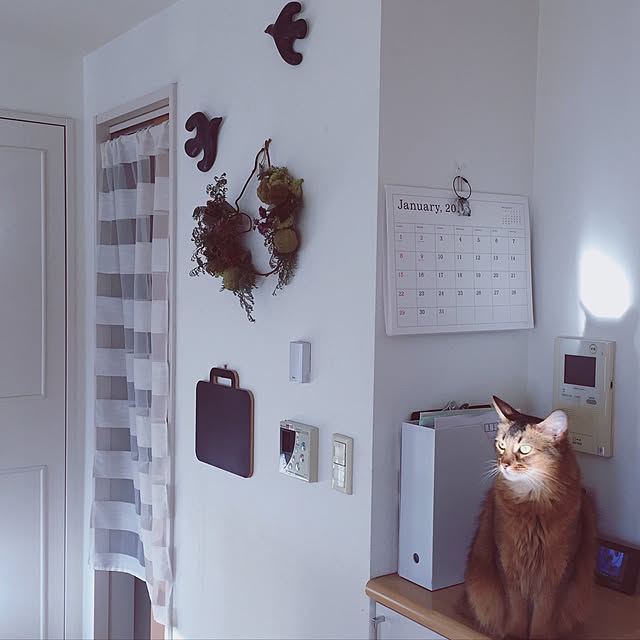 shihoさんの実例写真