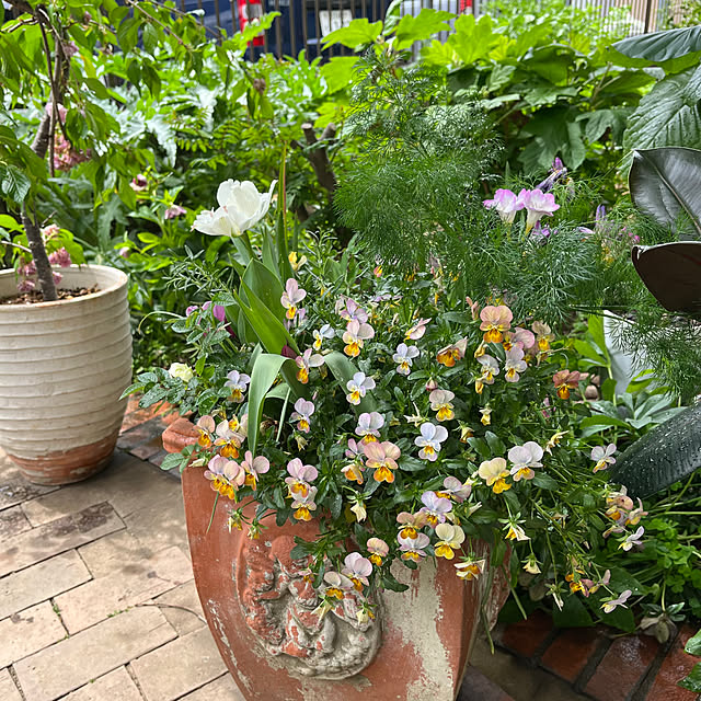 botanさんの実例写真