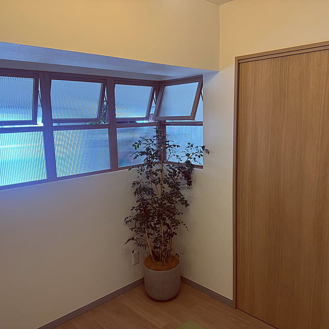 sakutaroさんの部屋