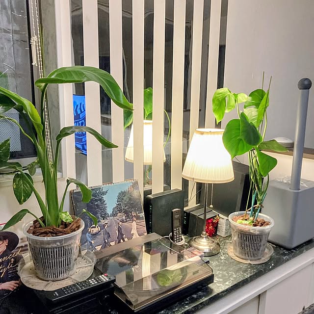 MOMOMAMAさんの実例写真