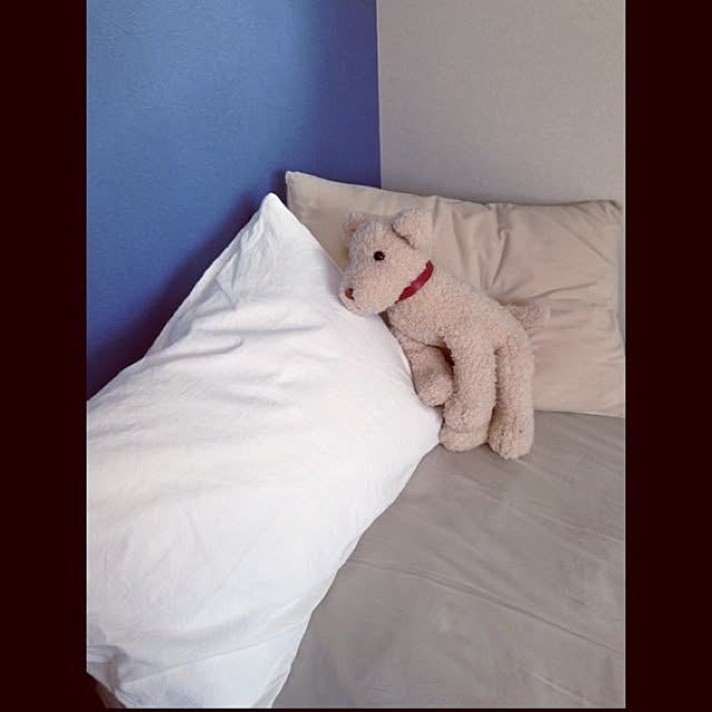 chihiroさんの実例写真