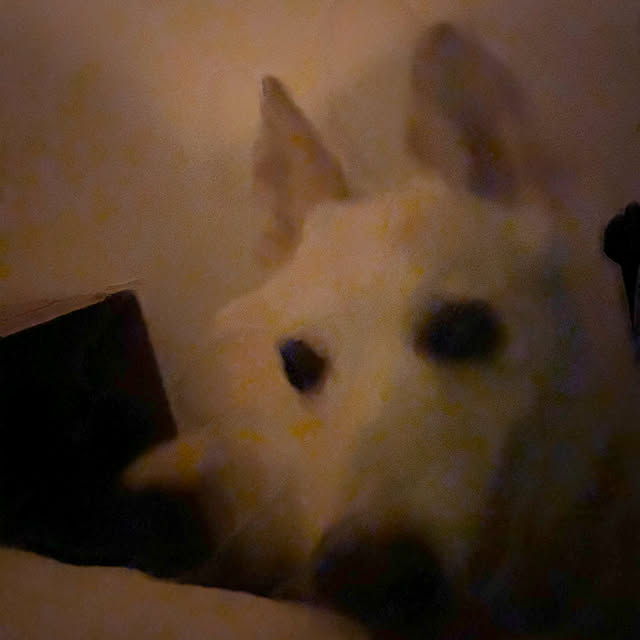 tanboさんの部屋
