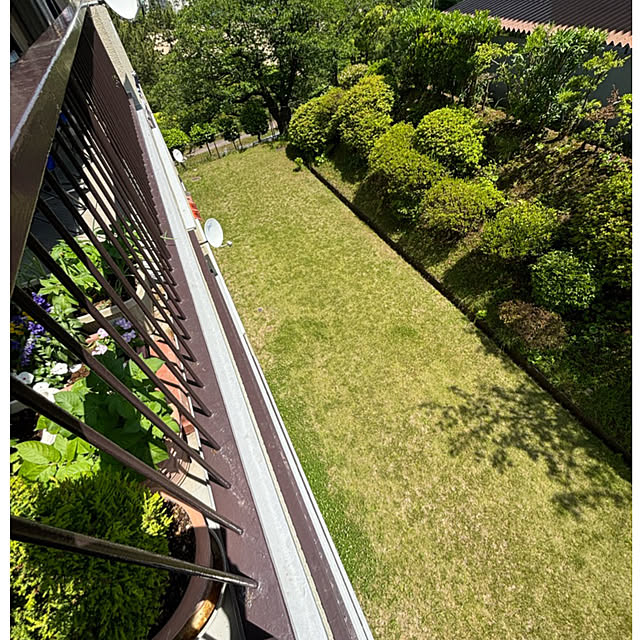 syutmmさんの部屋