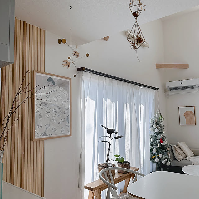 Tarutoさんの部屋