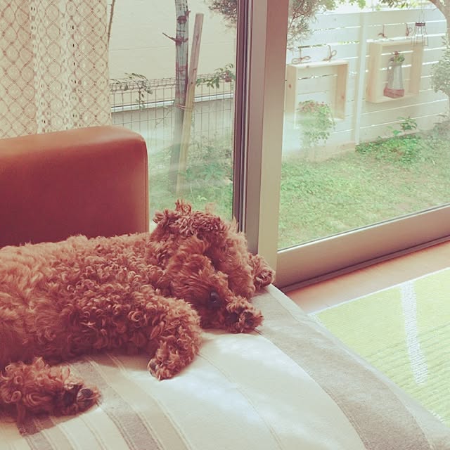 kazuさんの実例写真
