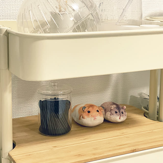 ohanaさんの実例写真