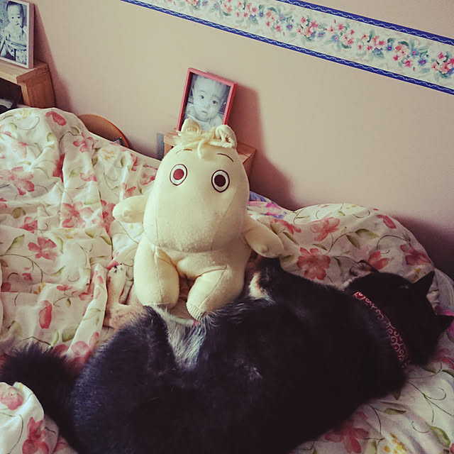 tsutawarimasuさんの実例写真