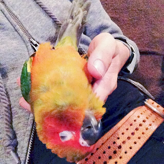 Atsushiさんの実例写真
