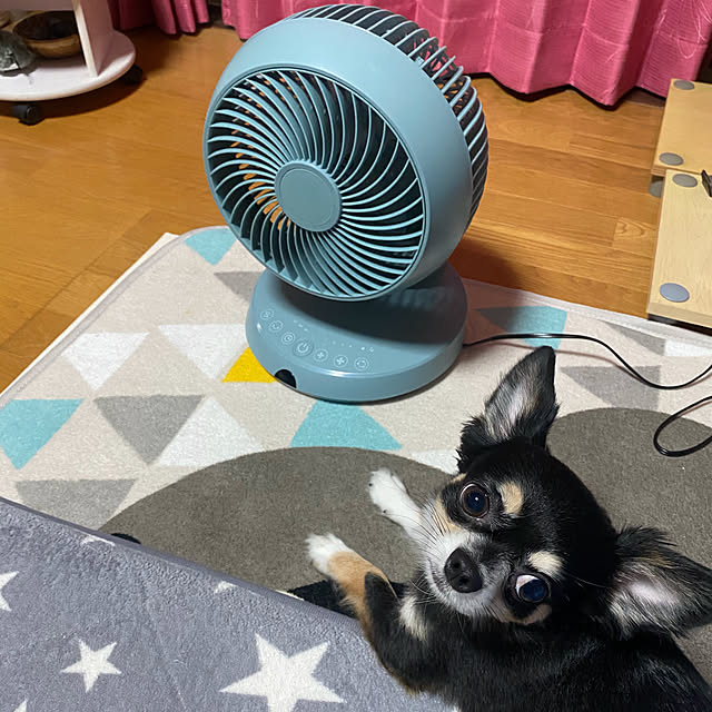 shinoshinoさんの実例写真