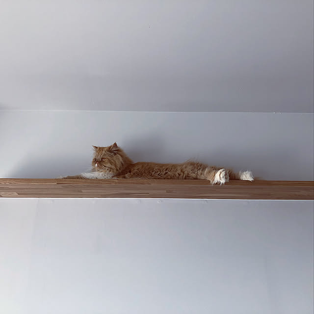 Naokoさんの実例写真