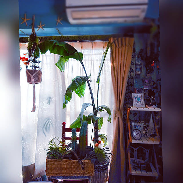 kyooonさんの実例写真