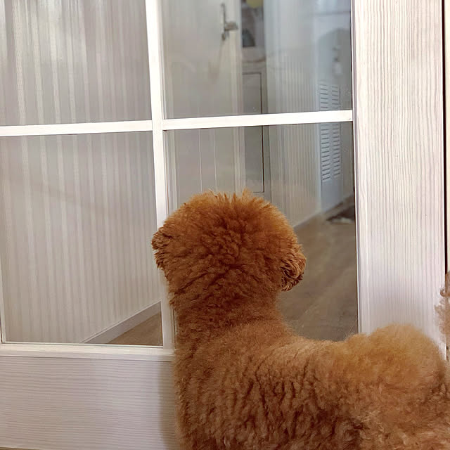 Naomiさんの実例写真
