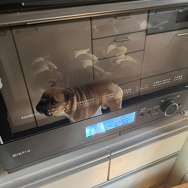 chi_gogaさんの部屋