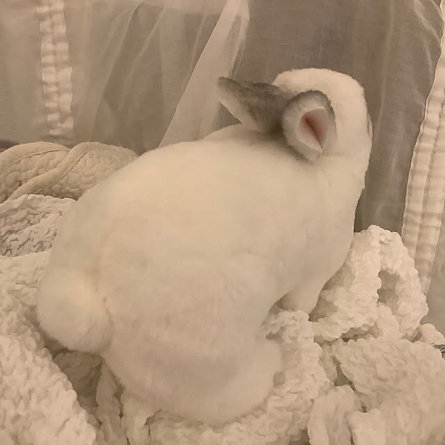 souyaさんの部屋