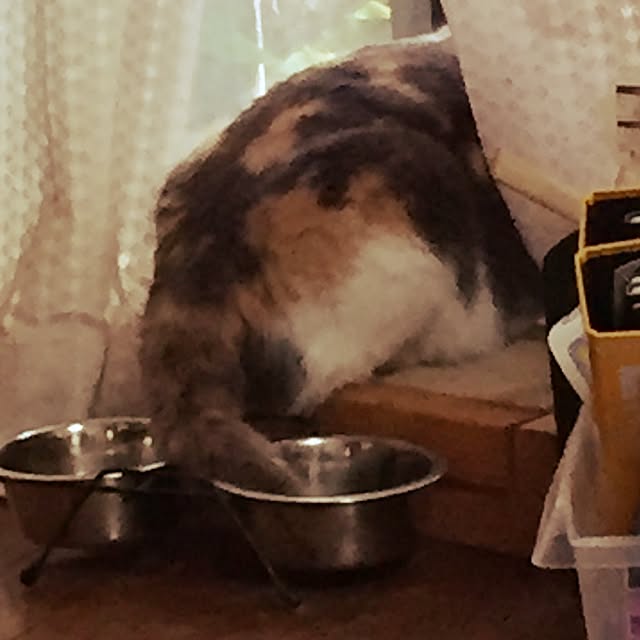 yumasukeさんの実例写真