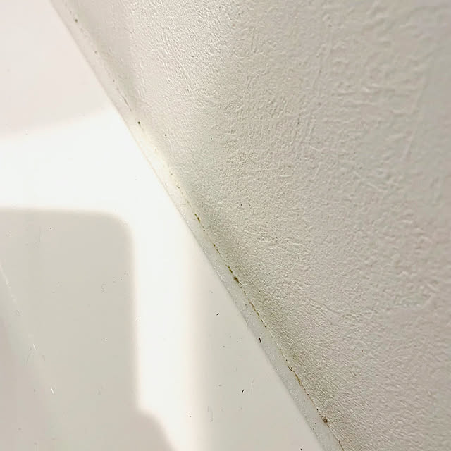 osuzuさんの部屋