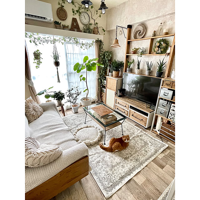 airararaさんの部屋