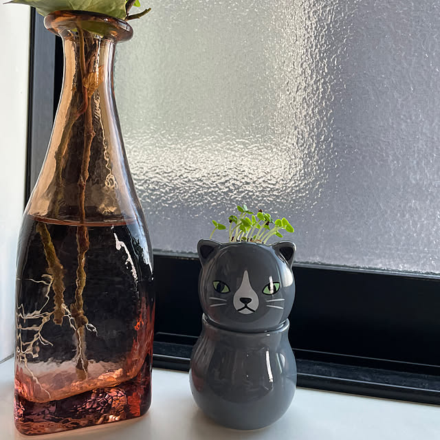 meruさんの部屋