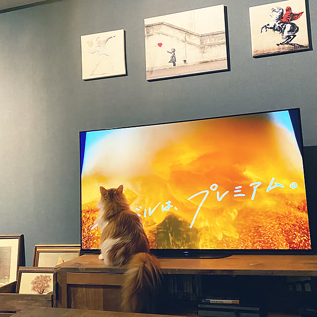 journal standard Furniture ジャーナルスタンダード journal standard Furniture ジャーナルスタンダード