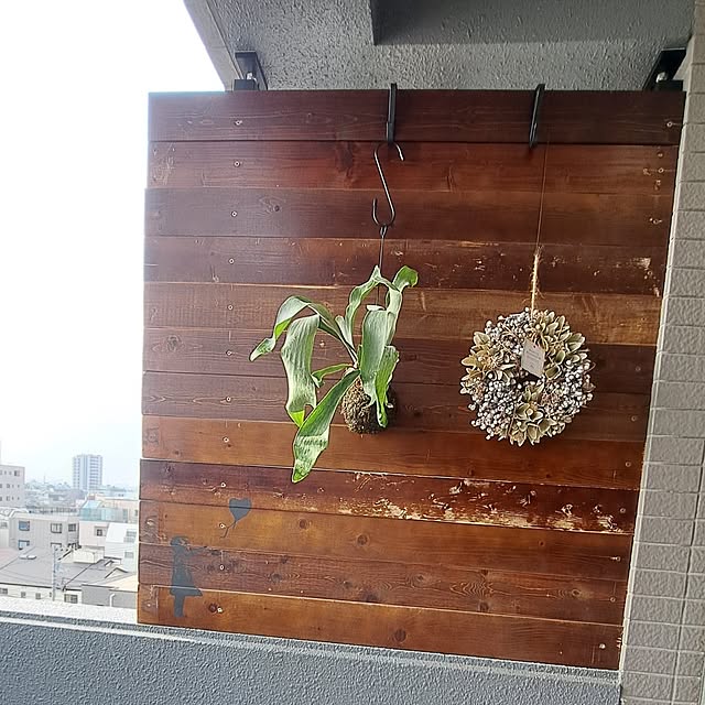noaさんの部屋