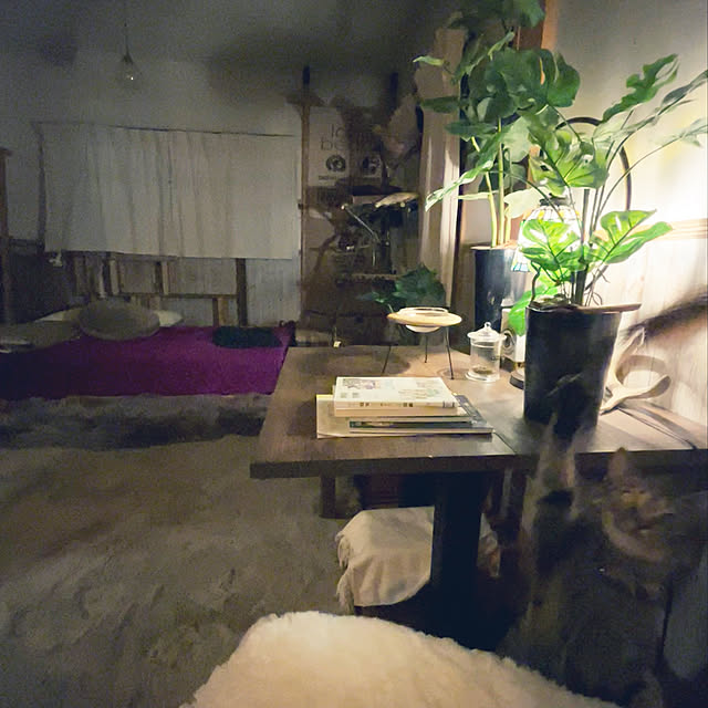 Mさんの実例写真