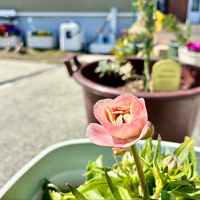 Junさんの実例写真