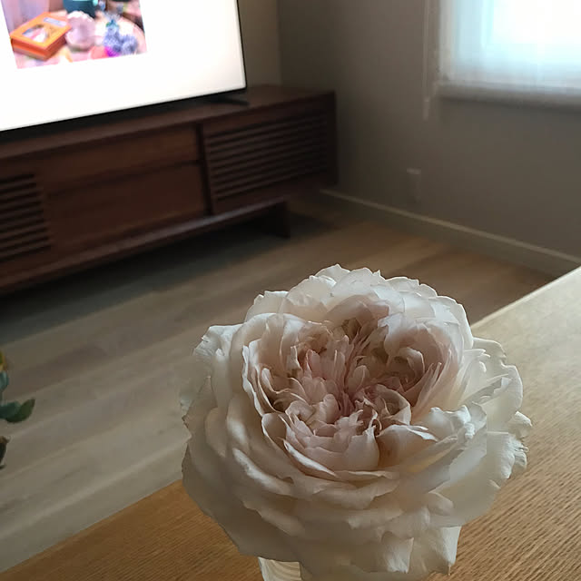 nbby16さんの部屋