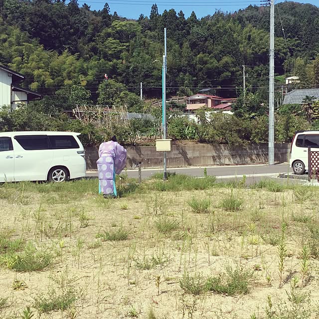 gonmamaさんの実例写真