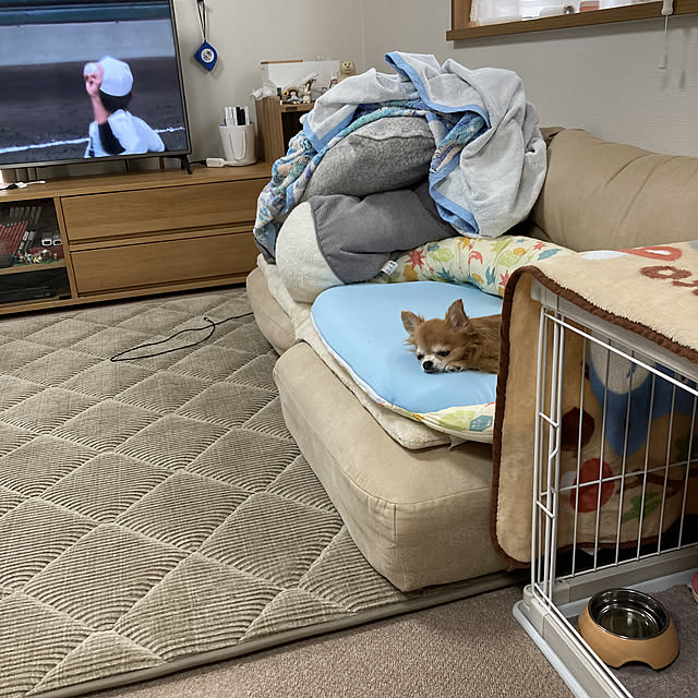 koroさんの実例写真