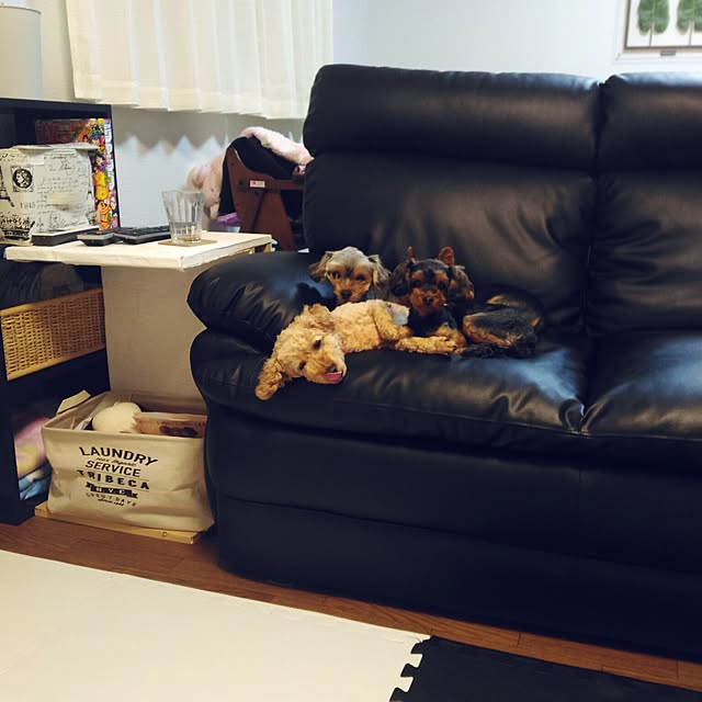 chasoさんの実例写真