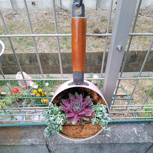 soneさんの実例写真