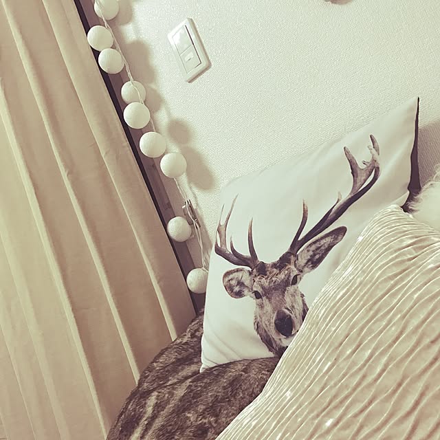 mmmさんの実例写真