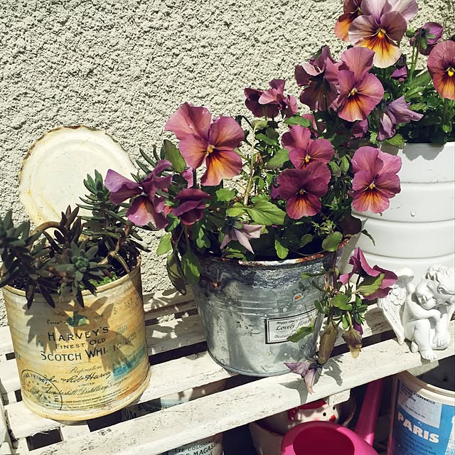 troisrさんの実例写真