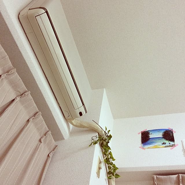 bichunosukeさんの実例写真