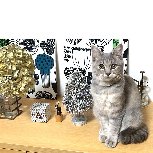 hamakoさんの実例写真