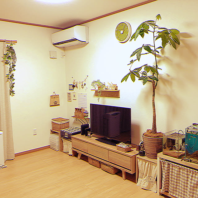 セリア/100均/ナチュラル/観葉植物/フェイクグリーン...などのインテリア実例 - 2021-07-15 22:24:10