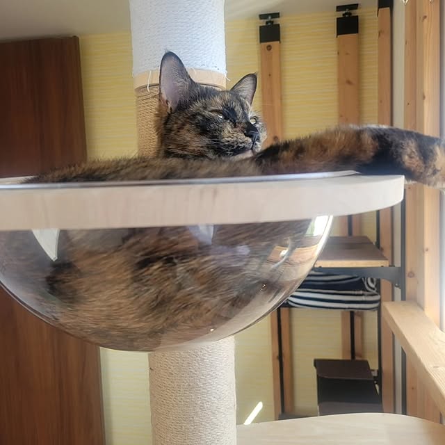 natuさんの実例写真