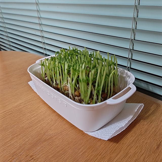kumimmyさんの部屋