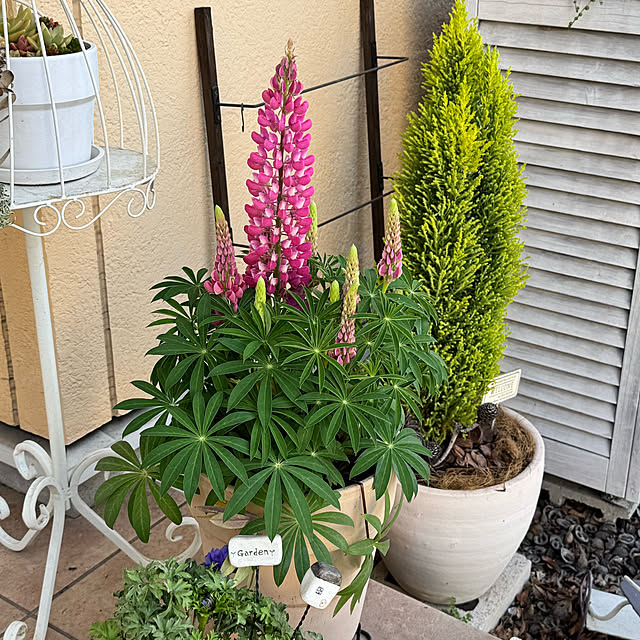 yuri.sさんの部屋