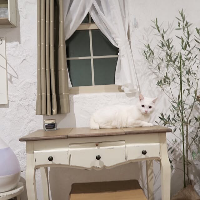 minoi_ts_cafeさんの実例写真