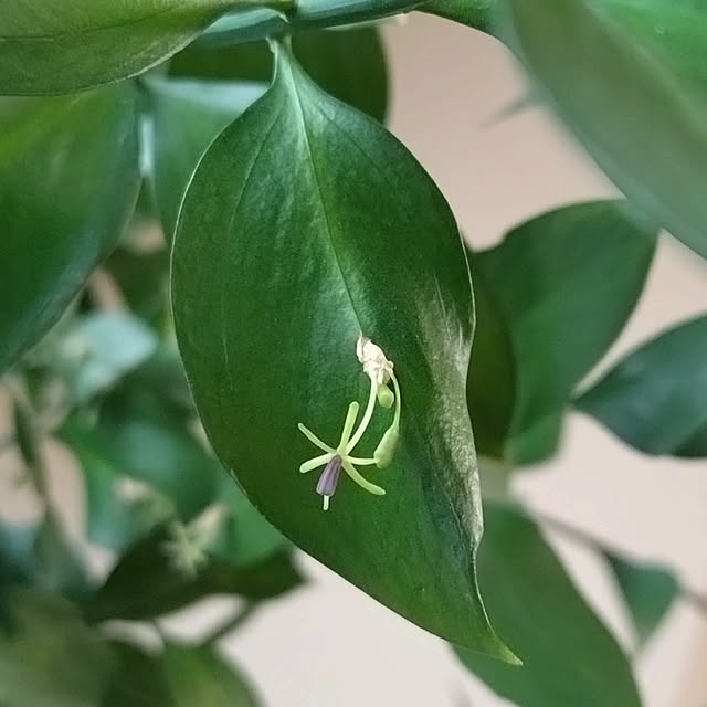 NOAHさんの実例写真