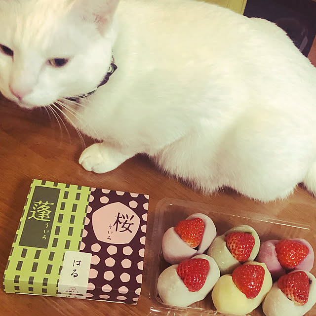 moyuhiさんの実例写真