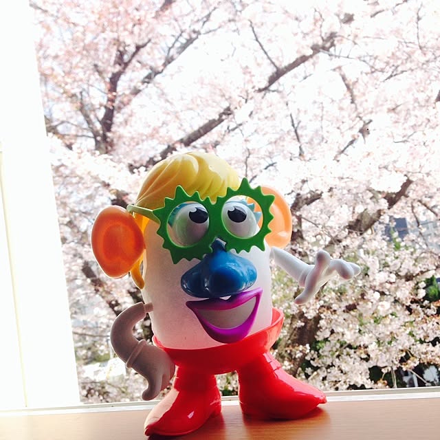 moooさんの実例写真
