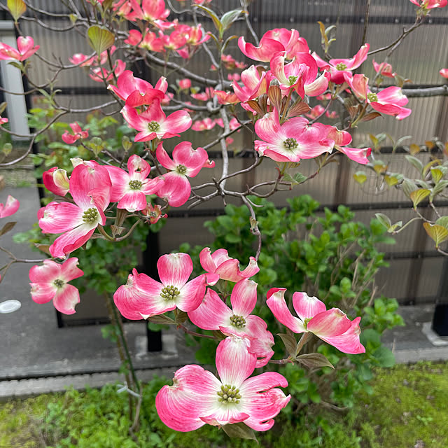 kakoさんの部屋