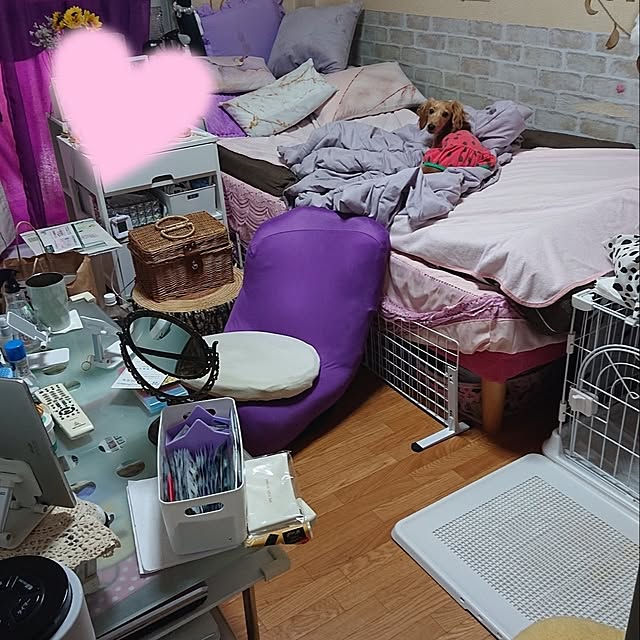 misaさんの実例写真