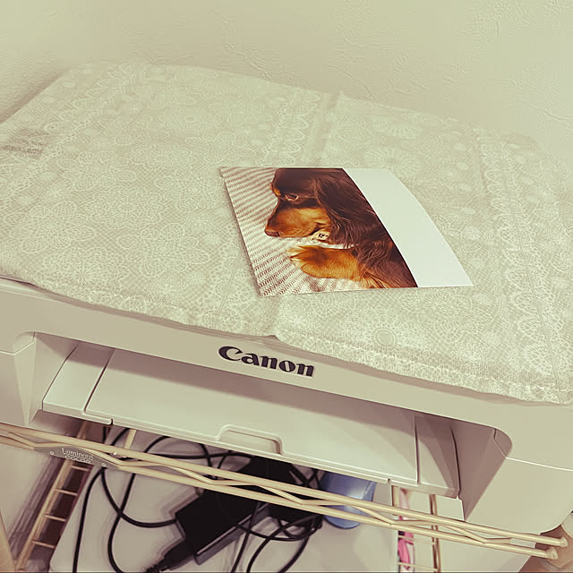 satonoriさんの実例写真