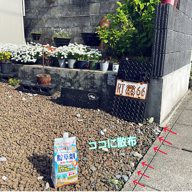 ikt.tamaさんの実例写真