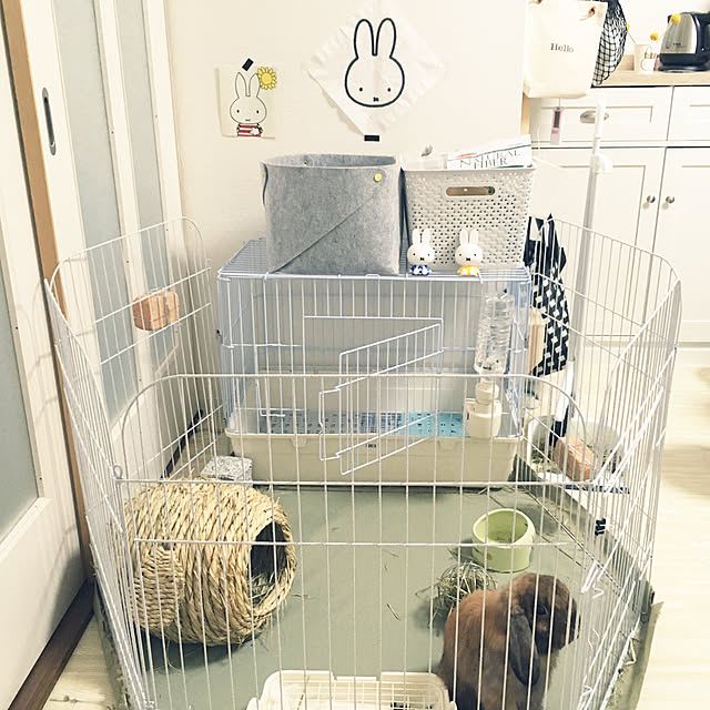 sakieさんの実例写真