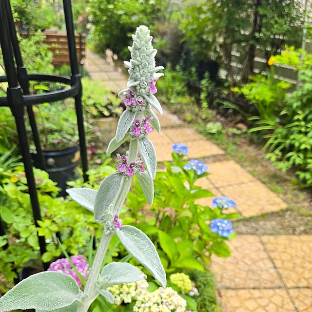 min_nimさんの実例写真