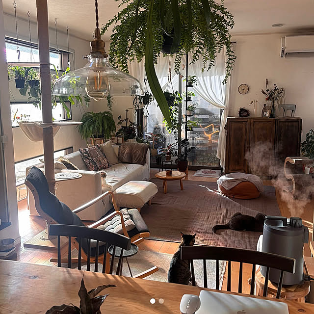 greycatsさんの部屋